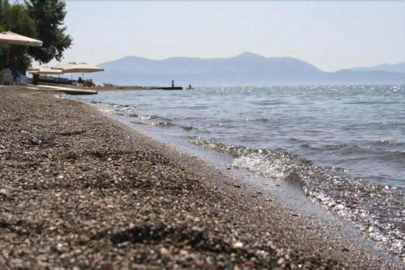 אמרינתוס Posidonia Pension מראה חיצוני תמונה