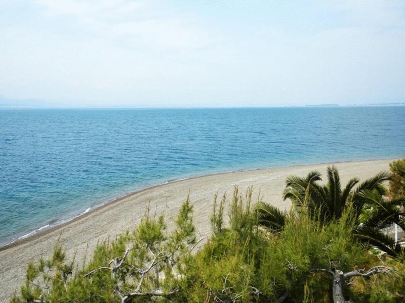 אמרינתוס Posidonia Pension מראה חיצוני תמונה