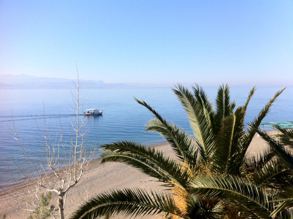 אמרינתוס Posidonia Pension מראה חיצוני תמונה