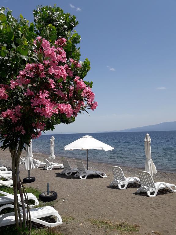 אמרינתוס Posidonia Pension מראה חיצוני תמונה